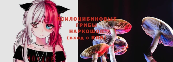 круглые Алексеевка