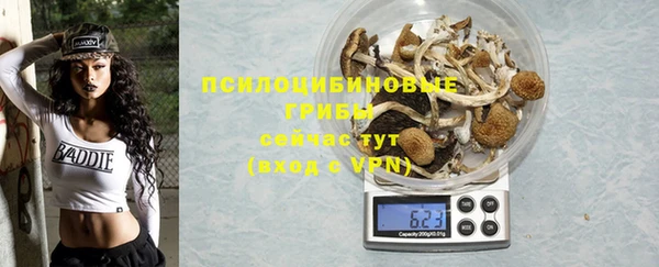 спайс Алексин